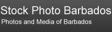 Cities - Stock Photo Barbados 