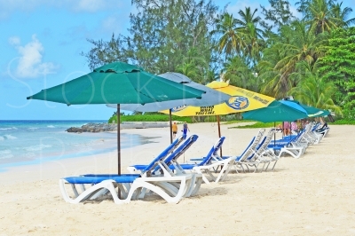  Beach Chairs Umbrellas 