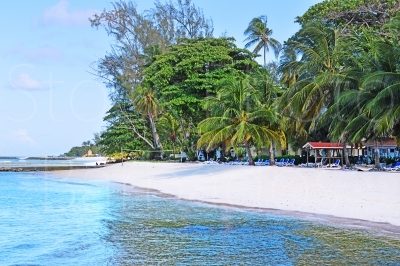 Beach Resort 